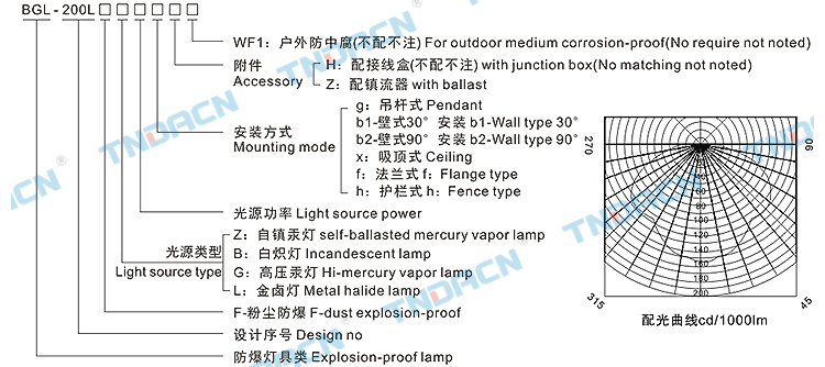 管家婆资料正版